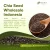 Chia Seed Wholesale Indonesia
